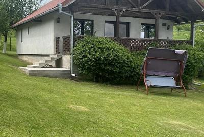 Casă cu 2 camere cu Teren 7500 Mp în Sulighete - 6