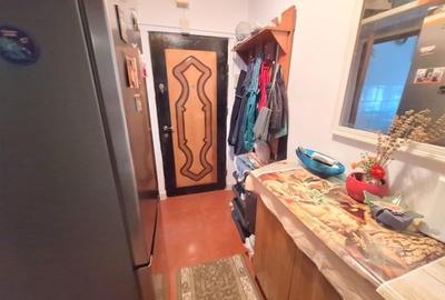 Apartament 2 camere, utilat, cu beci, zona Narcisa - 10