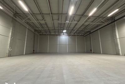 Spațiu comercial, de 1,400 mp, în Dragomirești-Vale - 4