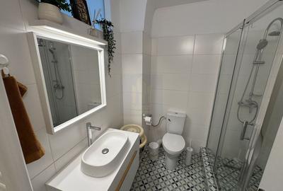 Apartament cu 3 camere decomandat, mobilat în Unirii - 22