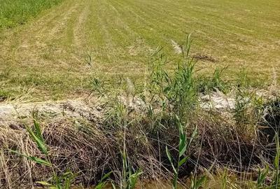 Teren de 20500 mp, în Bătinești - 2