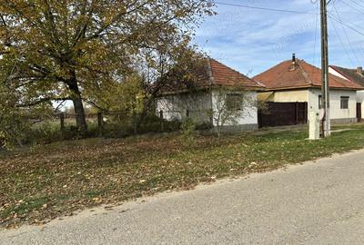 Vand casa 3 camere plus anexa - 4