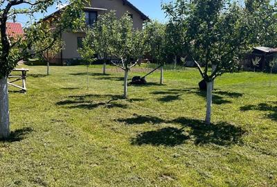 Casă cu 4 camere cu Teren 2000 Mp în Bonț - 3