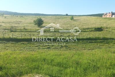 Teren Construcții intravilan de 653 mp, în Livezeni