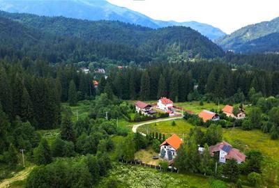 FILM!Resedinta cu farmec montan, domeniu de 1.700 mp,cadru s - 9