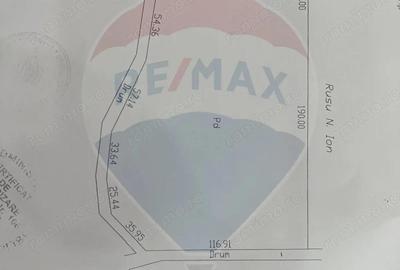 Teren de 25000 mp, în Răcoasa - 1