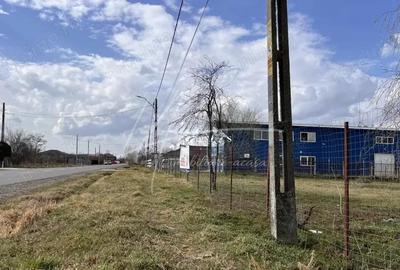 Teren intravilan I Ideal pentru investitie sau rezidential I Toate utilitatile - 3