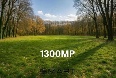 Teren cu vad exceptional 1300mp zona Subarini - 1
