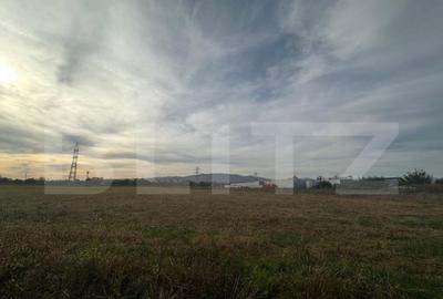 Teren intravilan, 11000mp, zona Carolina Mall - 1