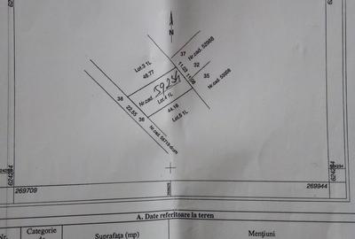 Teren de 1000 mp, în Săldăbagiu de Munte - 2