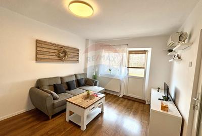 Apartament cu 2 camere semidecomandat, mobilat în Micălaca - 5