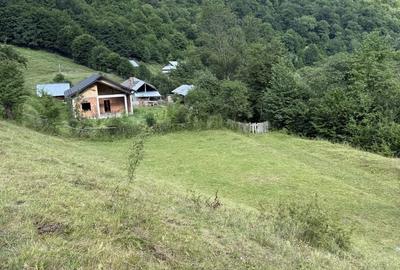 Teren de 3500 mp, în Cuejdiu - 3