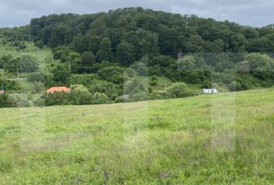 Teren cu poten?ial 1000 mp pe Dealul Partizanilor - 1