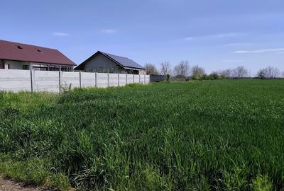 Spațiu comercial, în Central - 2