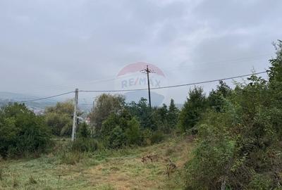 Teren de vanzare Turda - pe strada Calarasi - 5