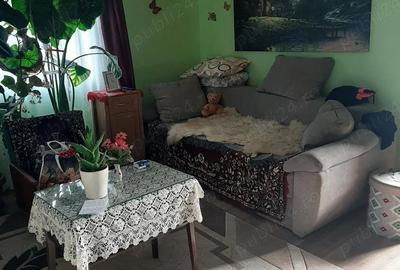 Casă cu 3 camere cu Teren 1930 Mp în Tulgheș - 7