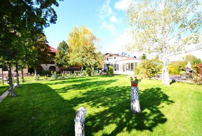 DOMENIU REZIDENȚIAL PRIVAT - Otopeni, Drumul Odaii - 20