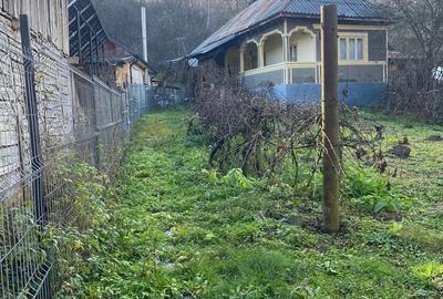 Vand casa cu teren in Vi?ine?ti, Dambovi?a zona lini?tita, natura, aer curat - 1