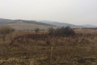 Teren Construcții intravilan de 15500 mp, în Cetate - 5