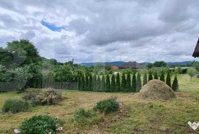 Casă cu 3 camere cu Teren 2900 Mp în Dej - 10