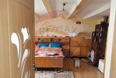 Casa traditionala De Vanzare cu 5 Hectare de teren - 14