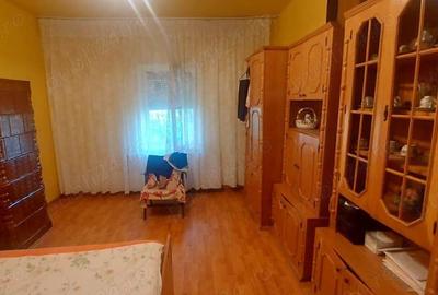 Casă cu 4 camere cu Teren 1900 Mp în Pișchia - 10