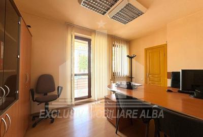 Birou, de 254 mp, în Cetate - 7