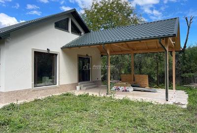 Casă cu Teren 8000 Mp în Câmpuri - 10