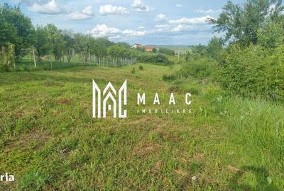 Spațiu comercial, în Daia - 4