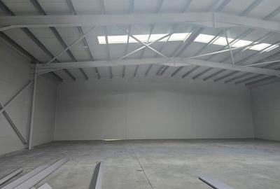 Inchiriere hala/birouri, TBM Industrial Park 600 MPU si teren 1016mp - 3