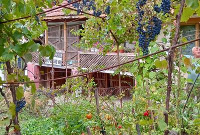 Casă cu 5 camere în Drăganu - 4