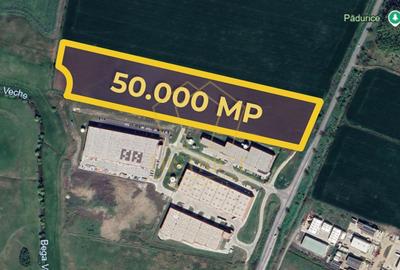 Teren Construcții intravilan de 4000 mp, în Sânandrei - 2