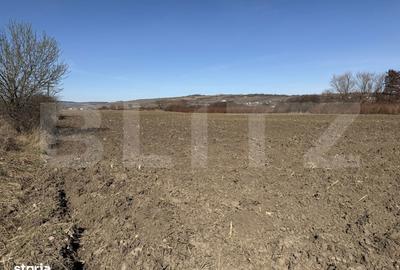 Teren de 4000 mp, în Hereclean - 2