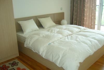 Apartament cu 3 camere decomandat în Mihai Bravu - 1