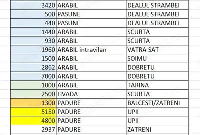 Teren de 45000 mp, în Ghioroiu