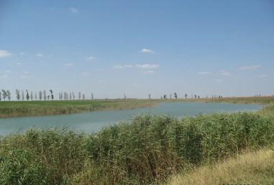 Teren de 430000 mp, în Crunți - 2
