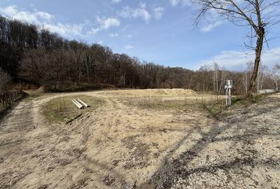 Spațiu comercial, în Păușești - 3