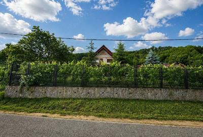 Casă cu Teren 1800 Mp în Enculești - 5