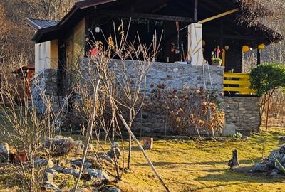 Casă individuală cu 2 camere cu Teren 200 Mp în Malaia - 3