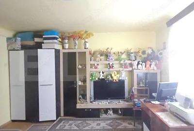 Casa renovabila, 2 camere, zona Cetate - 5