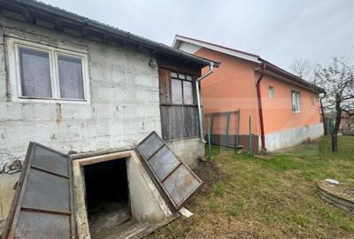 Casa individuala, 3300 mp teren, zona Sintereag - 13