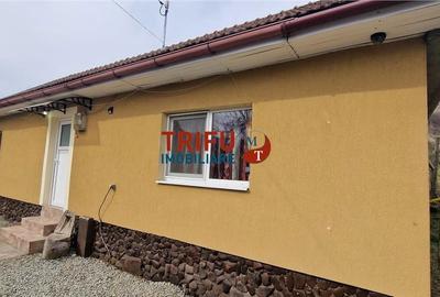 Casă cu 2 camere cu Teren 437 Mp în Ighiu - 17