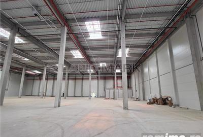 Hala industrialaTimisoara , 2500 mp, Calea Lugojului - 9