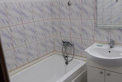 Proprietar inchiriez apartament 1 camera Nicolina - 2