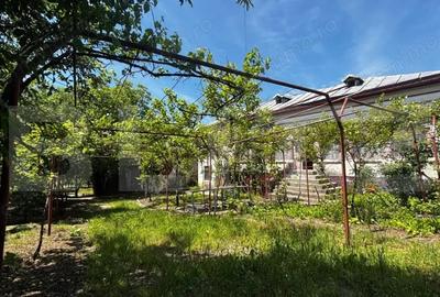 Casă cu Teren 3345 Mp în Central