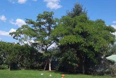 Teren Construcții intravilan de 500 mp, în 1 Decembrie 1918 - 2