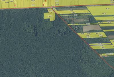 `Teren cu dubla deschidere, langa padure, Snagov - Strada Parcului - 3