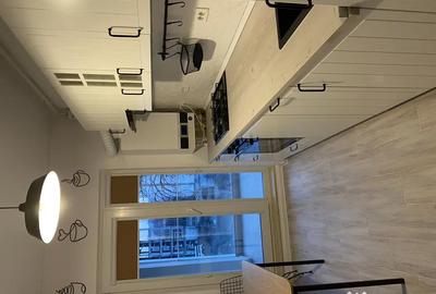 Apartament cu 2 camere semidecomandat în Parcul Carol - 4