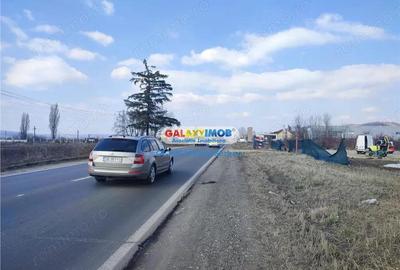 Teren de 9600 mp, în Aninoasa - 6