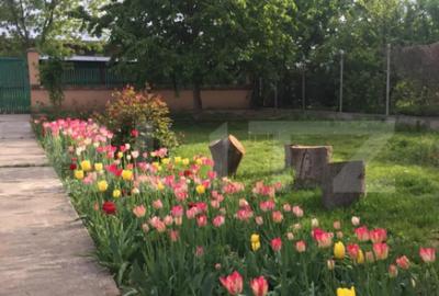 Casă cu 4 camere cu Teren 2700 Mp în Central - 13